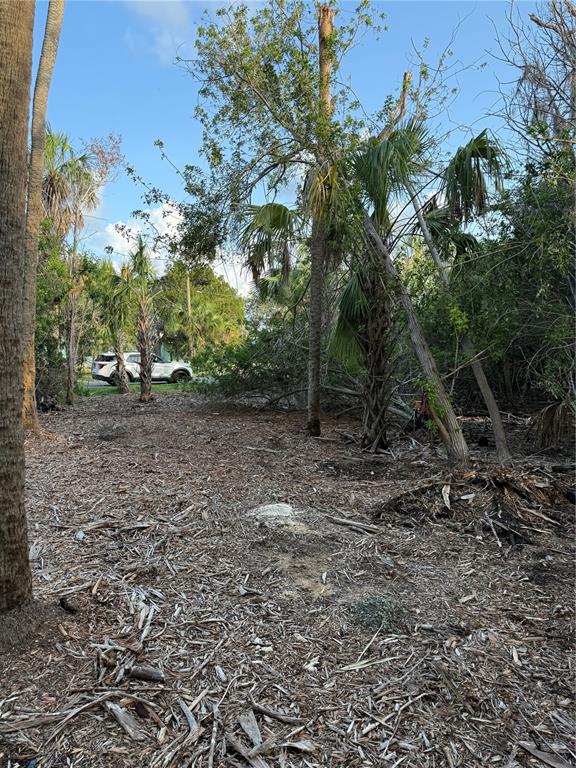 A wooded lot features scattered palm trees and mulch-covered ground with a car in distance — 1471 S ESTUARY DRIVE, CRYSTAL RIVER, FL