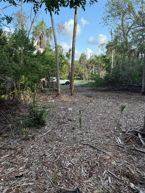 A wooded, cleared lot features scattered mulch, several palm trees, and a distant white vehicle — 1471 S ESTUARY DRIVE, CRYSTAL RIVER, FL