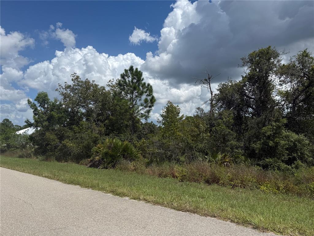 208 FIJI WAY NE, LAKE PLACID, FL — photo 2 of 4