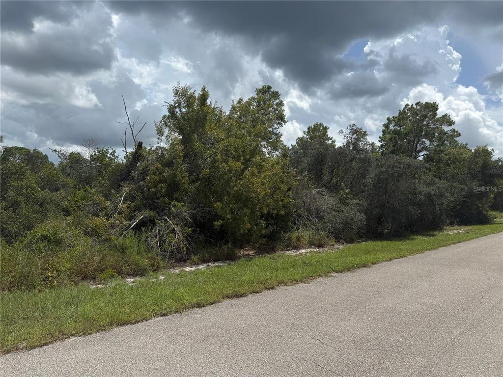 208 FIJI WAY NE, LAKE PLACID, FL — photo 3 of 4