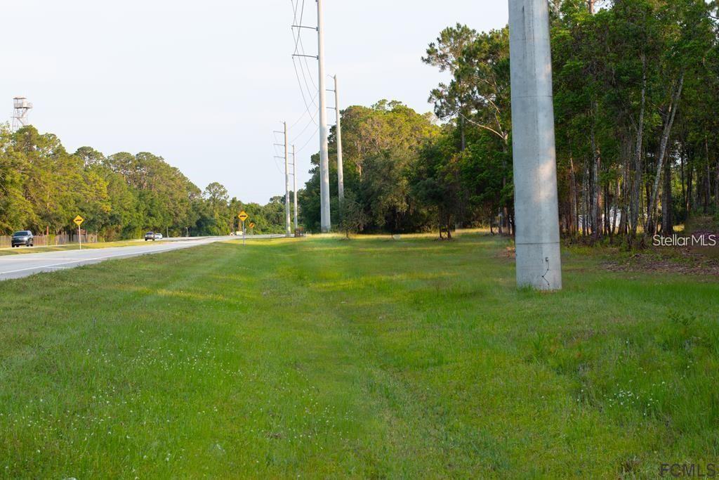 A grassy lot sits next to a paved road with utility poles and dense trees — 53XX US HWY 1 N, BUNNELL, FL