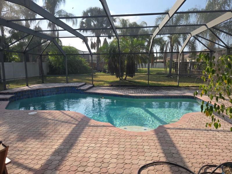 A screened-in swimming pool with a paver deck and palm trees in the backyard — 6717 GUILFORD CREST DRIVE, APOLLO BEACH, FL