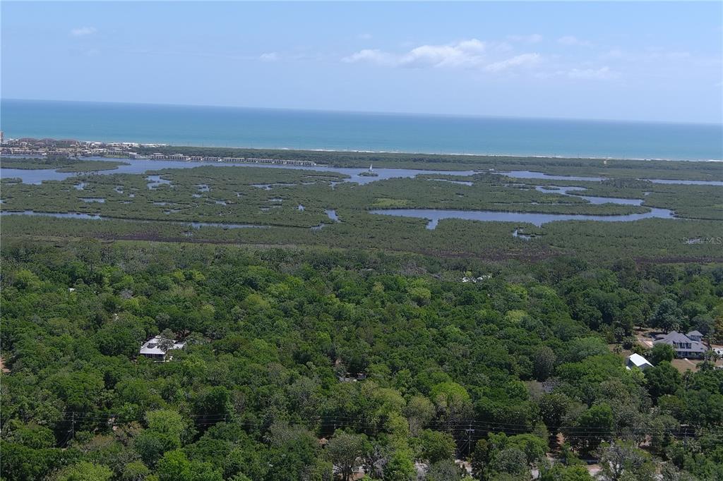An aerial view shows a coastal landscape with dense forest, wetlands, and the ocean beyond — 5751 JOHN ANDERSON HIGHWAY, FLAGLER BEACH, FL