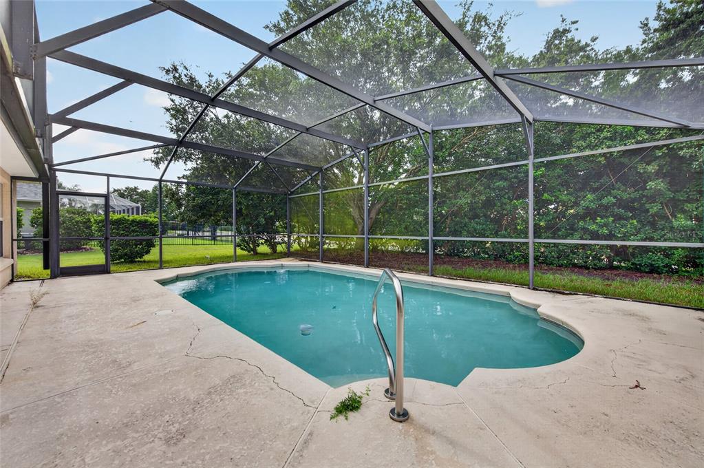 A swimming pool is enclosed by a screened lanai with a concrete deck and landscaping — 8 BLACK WATER WAY, ORMOND BEACH, FL