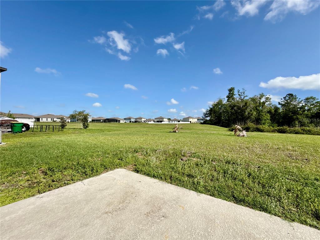 A concrete patio overlooks a large, grassy backyard with a line of houses in the distance — 35657 BUTTONWEED TRAIL, ZEPHYRHILLS, FL