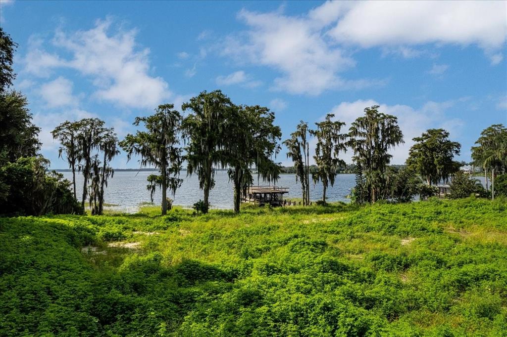 A grassy field leads to a lake with cypress trees and a wooden dock — 12422 PARK AVENUE, WINDERMERE, FL