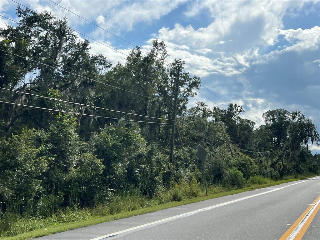 A paved road runs alongside a dense, wooded area with overhead utility lines — COUNTY ROAD 48, YALAHA, FL