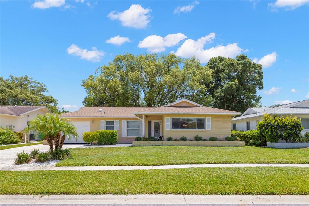 2954 CURLING COURT