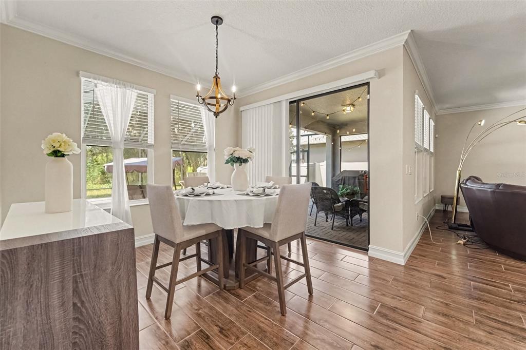 21590 VIOLET PERIWINKLE DRIVE, LAND O LAKES, FL — photo 3 of 30