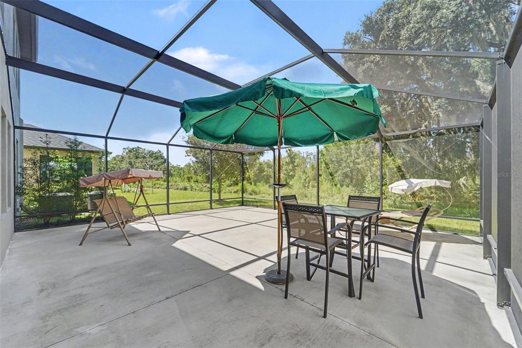 21590 VIOLET PERIWINKLE DRIVE, LAND O LAKES, FL — photo 5 of 30