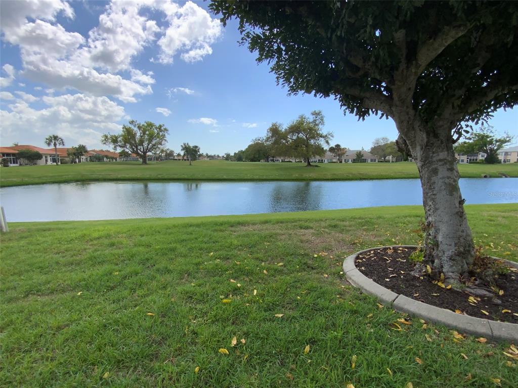 A view of a pond and golf course from a grassy yard with a tree — 4310 MURFIELD DRIVE E, BRADENTON, FL