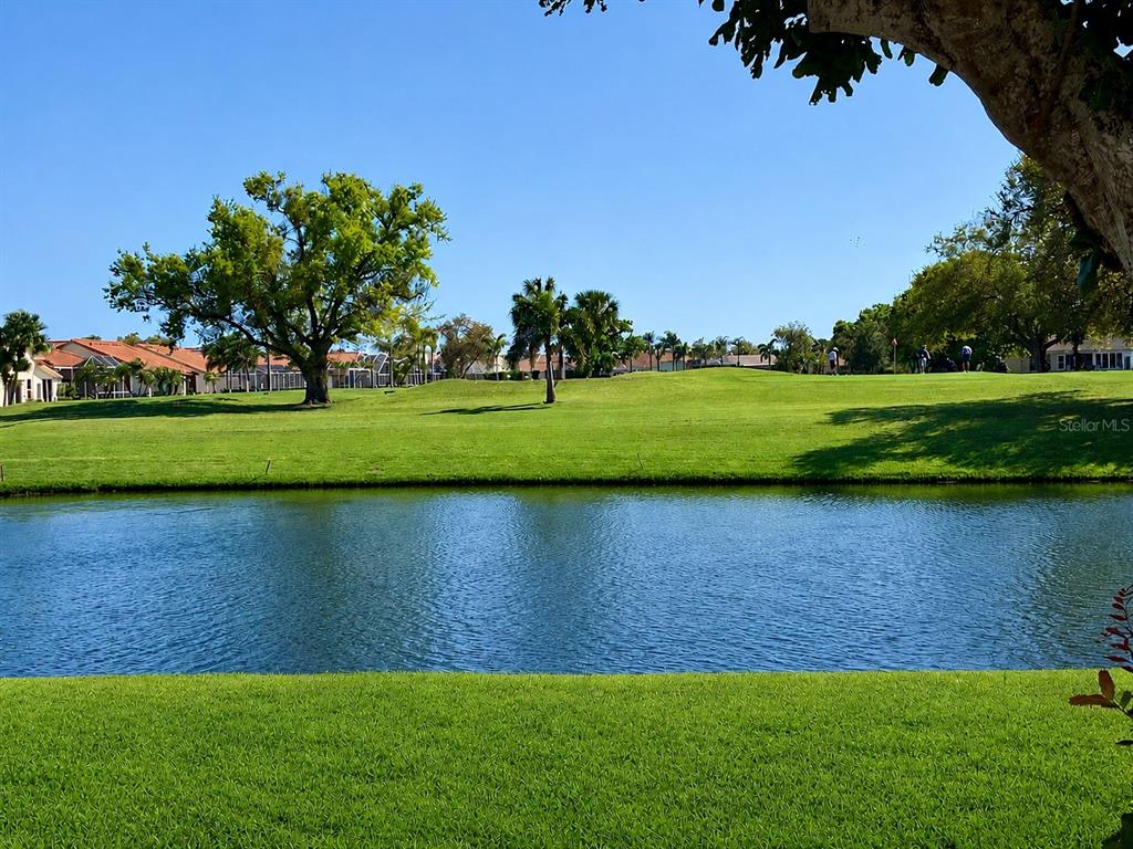 A view of a pond with a grassy golf course and trees in the background — 4310 MURFIELD DRIVE E, BRADENTON, FL