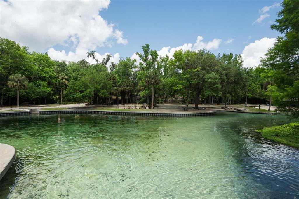 A clear spring pool is surrounded by a concrete bulkhead and a wooded park area — KELLY PARK ROAD E, APOPKA, FL