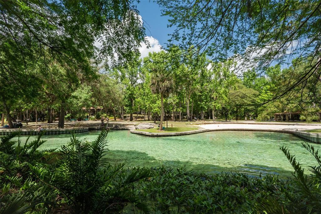 A clear, natural spring pool is surrounded by a sandy beach and lush green trees — KELLY PARK ROAD E, APOPKA, FL