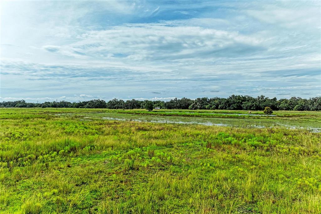 COKER GULLY ROAD, MYAKKA CITY, FL — photo 3 of 28