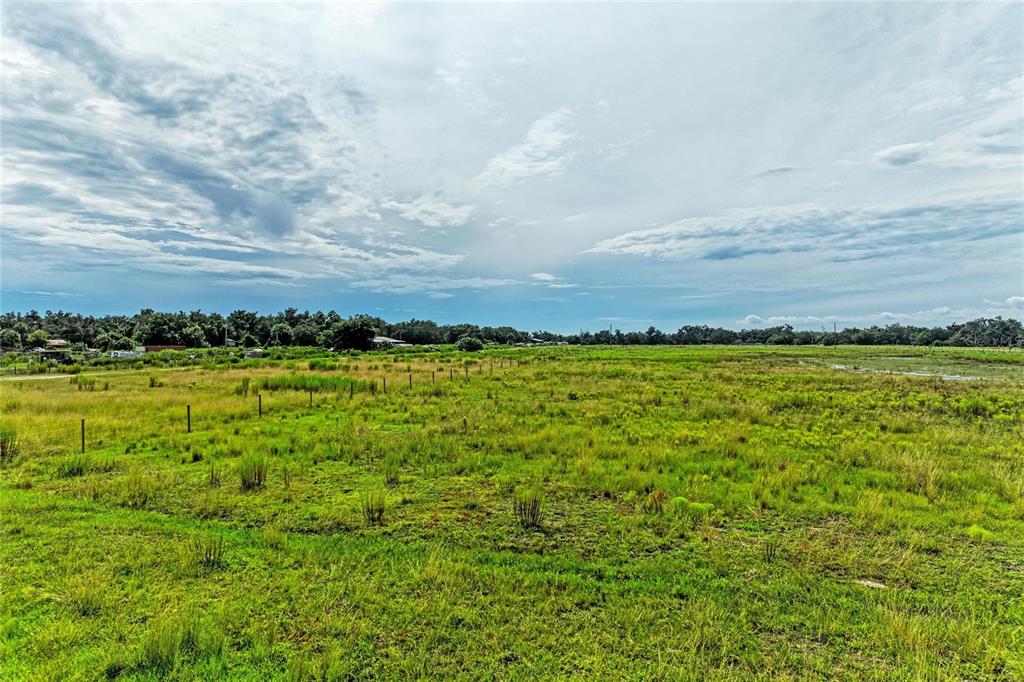 COKER GULLY ROAD, MYAKKA CITY, FL — photo 4 of 28