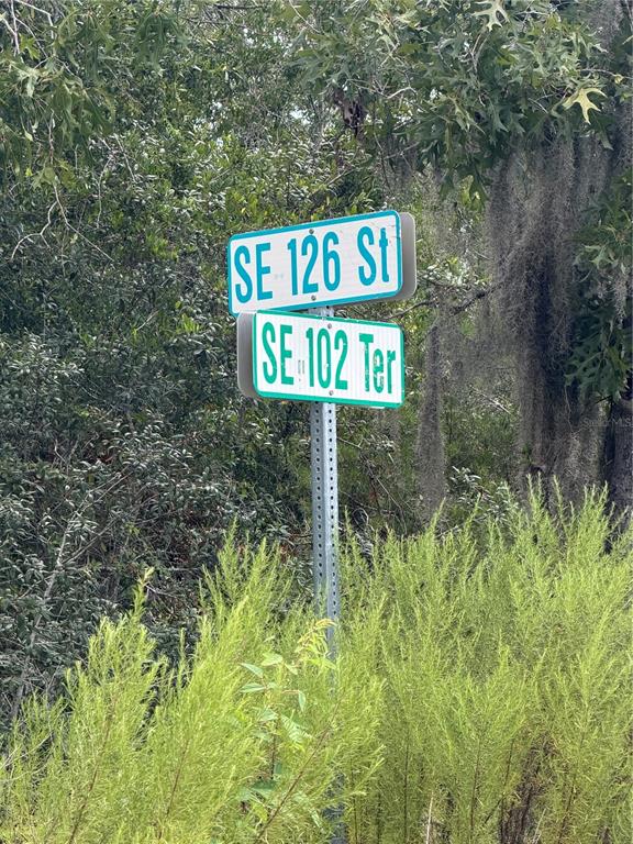 A large, cleared, grassy lot with a small house visible in the background — TBD SE 126TH STREET, BELLEVIEW, FL