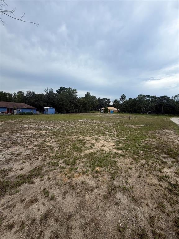 A dirt road intersection is surrounded by trees and grass under a blue sky — TBD SE 126TH STREET, BELLEVIEW, FL