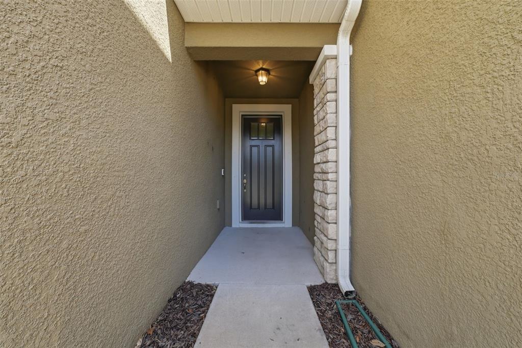 A recessed entryway features a dark front door, a stone pillar, and a concrete walkway — 11752 CAMBIUM CROWN DRIVE, RIVERVIEW, FL