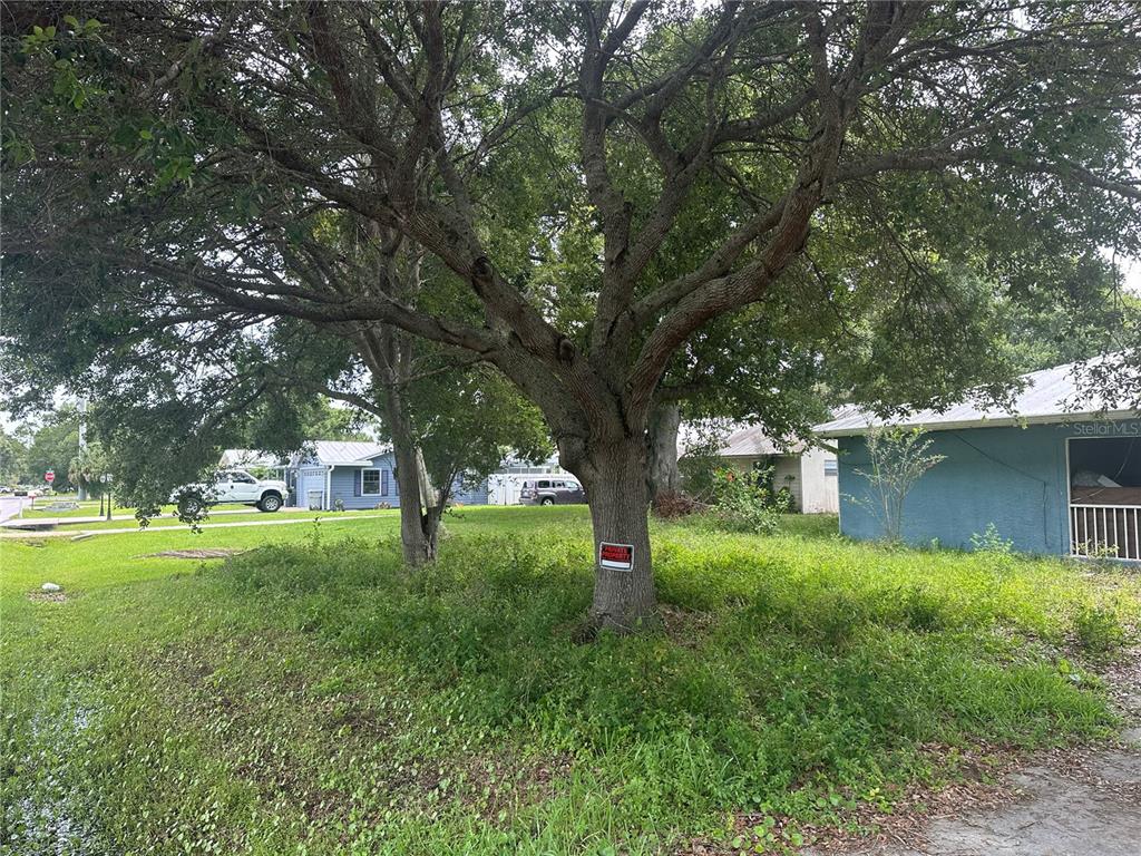 A large tree with a private property sign stands in a grassy yard near houses — 1245 35TH AVENUE, VERO BEACH, FL