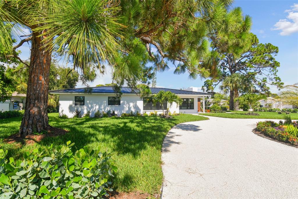 A white single-story house with a dark metal roof sits behind a large pine tree — 301 AURORA STREET E, VENICE, FL