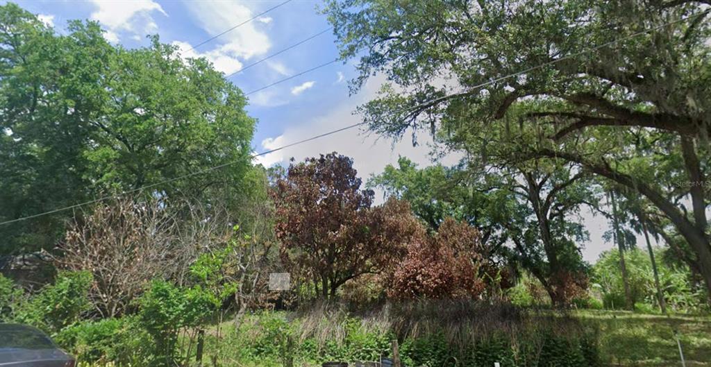 ORANGE AVENUE, SANFORD, FL — photo 3 of 11