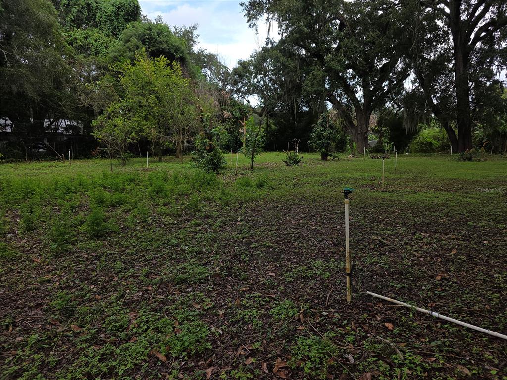 ORANGE AVENUE, SANFORD, FL — photo 5 of 11