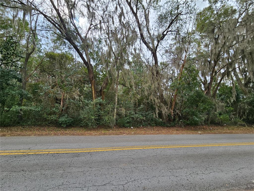 A paved road runs in front of a densely wooded lot with Spanish moss — tbd SW 6TH AVENUE, WILLISTON, FL