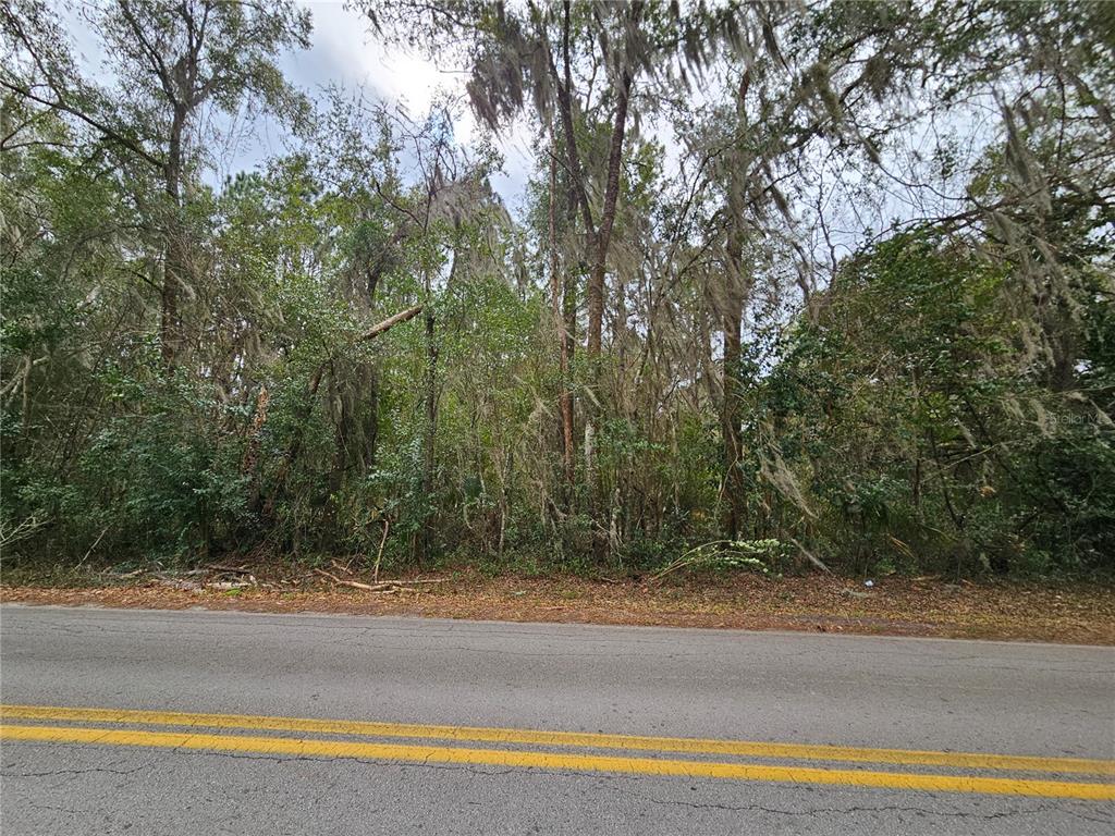 A paved road runs in front of a densely wooded lot with Spanish moss — tbd SW 6TH AVENUE, WILLISTON, FL