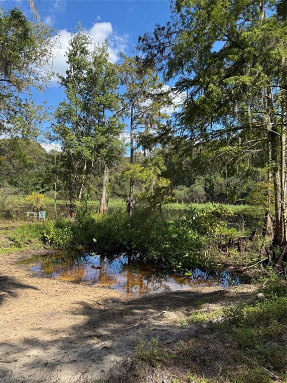 2400 N JUNGLECAMP ROAD, INVERNESS, FL — photo 4 of 7