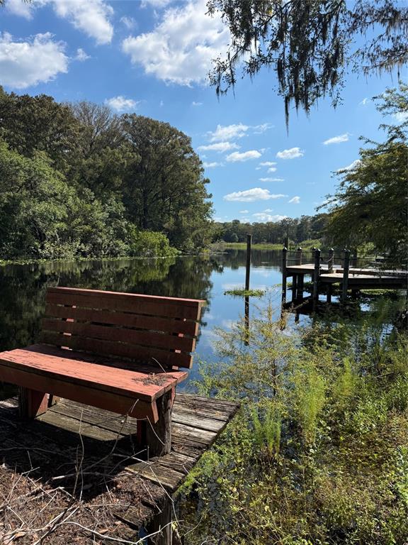 2400 N JUNGLECAMP ROAD, INVERNESS, FL — photo 5 of 7