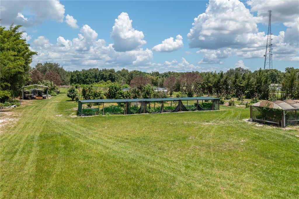 A grassy backyard features a long, mesh-covered garden bed, a small shed, and distant trees — 270 KEEN ROAD, FROSTPROOF, FL