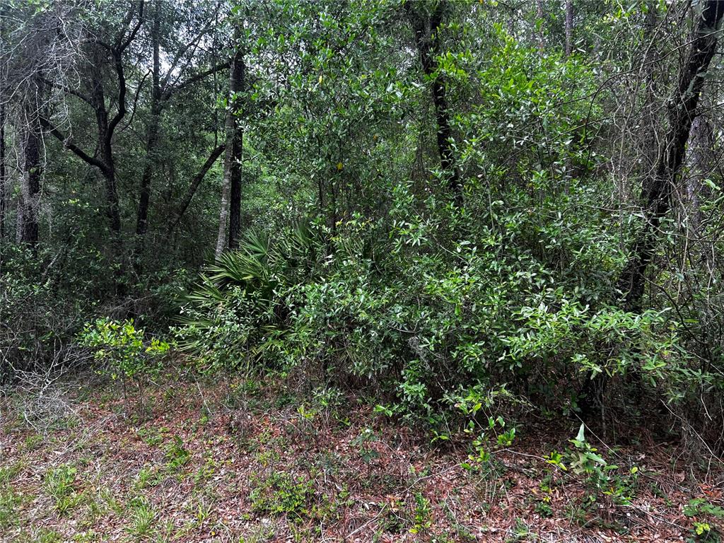 TBD SW 186TH CT.