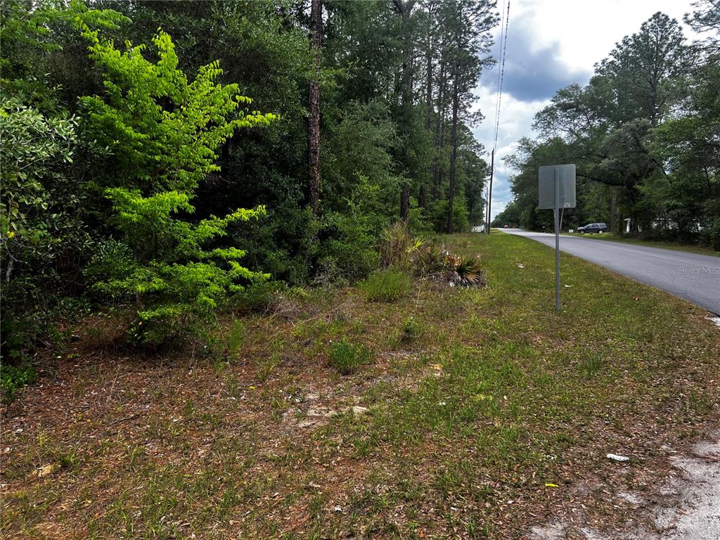 A view of a wooded, undeveloped lot next to a paved road with a sign — TBD SW 186TH CT., DUNNELLON, FL
