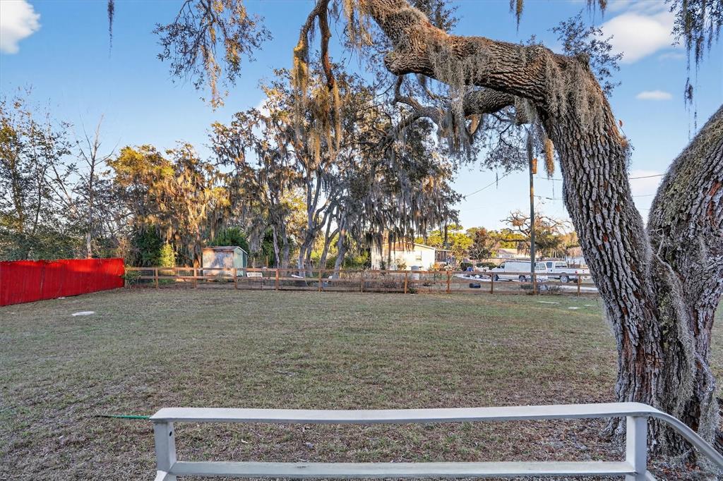A large, grassy backyard features a prominent oak tree and a wooden fence — 18441 RIGSBY ROAD, SPRING HILL, FL