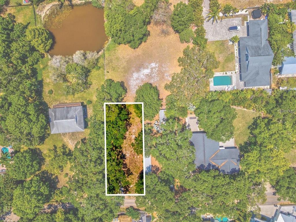 428 LEMON STREET, PALM HARBOR, FL — photo 2 of 16