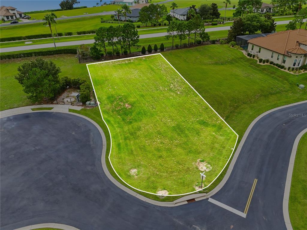 This is a property tax map showing parcel boundaries and dimensions along Caladium Avenue — 103 BLAZING STAR AVENUE, LAKE ALFRED, FL