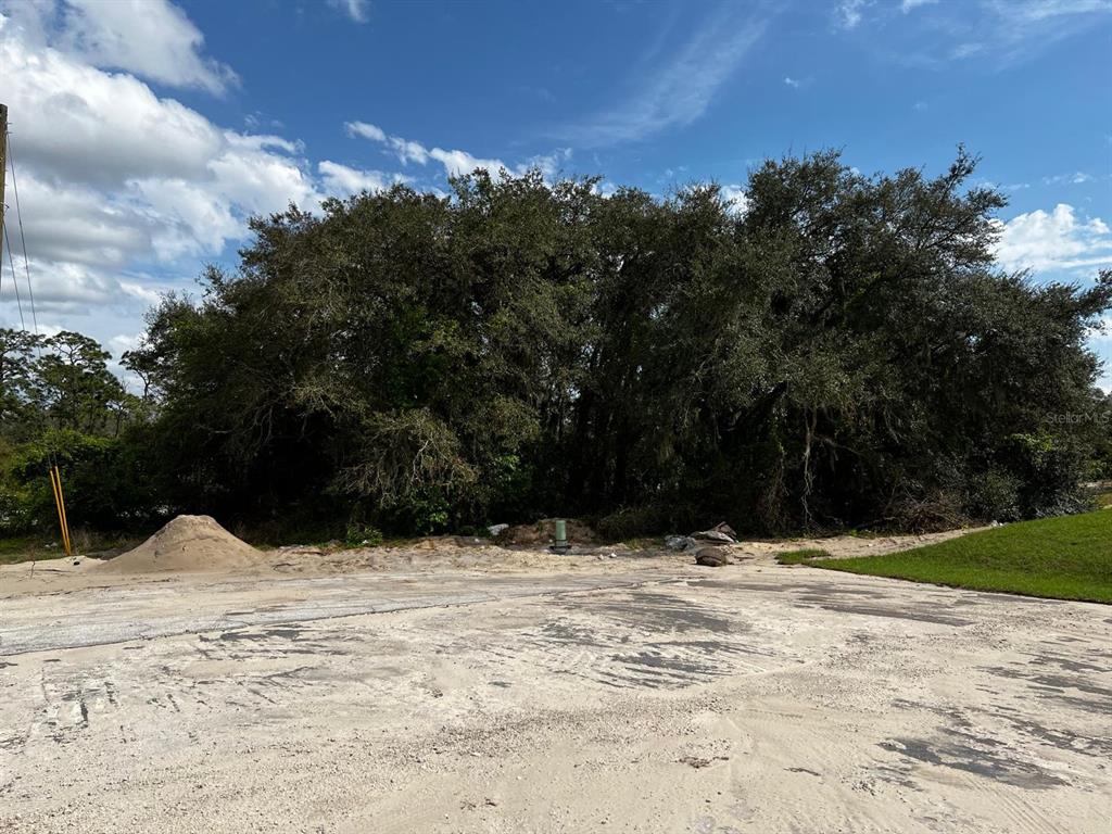 A large, dense cluster of trees stands behind a sandy, cleared lot under a blue sky — 410 ASHBURY WAY, KISSIMMEE, FL