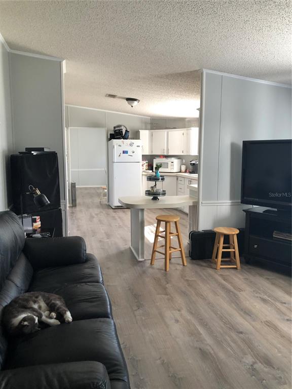A living room with a black leather sofa and cat opens into a kitchen with stools — 30340 BAYLOR LANE, WESLEY CHAPEL, FL