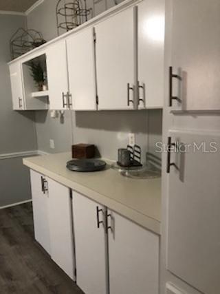 A kitchen area features white cabinets with dark hardware and a light-colored countertop — 30340 BAYLOR LANE, WESLEY CHAPEL, FL