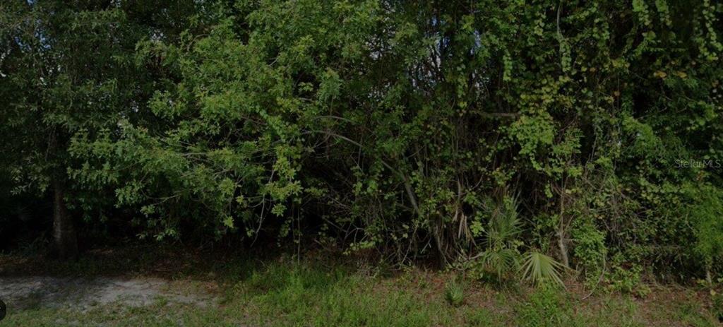 A dense, overgrown wooded lot with thick green foliage and trees — 8275 98TH COURT, VERO BEACH, FL