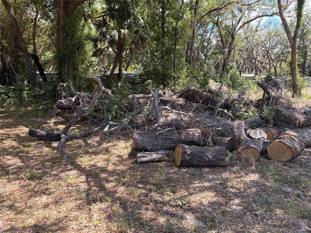 A pile of cut logs and tree branches sits on a wooded residential lot — HICKS ROAD, HUDSON, FL