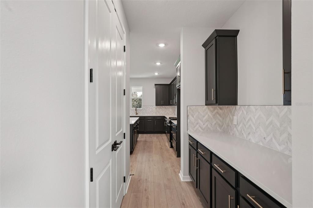 A hallway with white doors leads to a kitchen featuring dark cabinets and light countertops — 2909 CITRUS GROVE STREET, WIMAUMA, FL