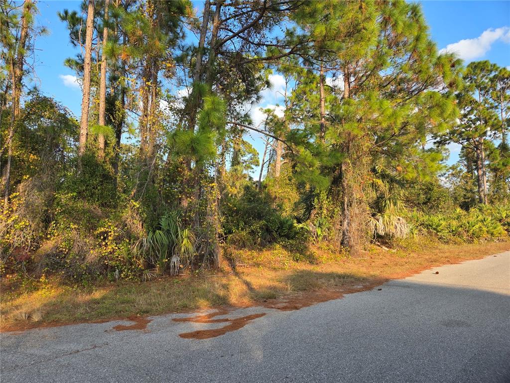 A paved road runs alongside a wooded lot with tall pine trees and dense undergrowth — KENDSHA STREET, NORTH PORT, FL