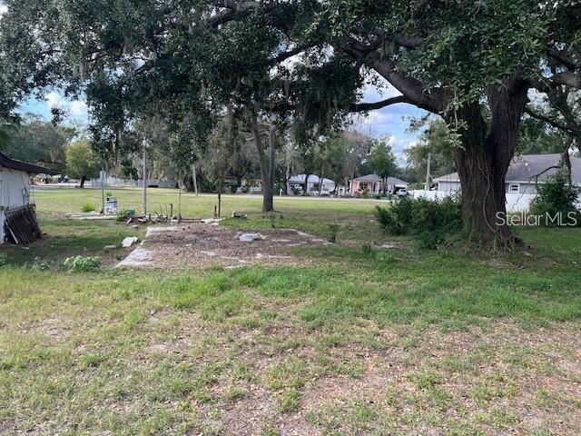 A large oak tree stands in a grassy yard with a concrete slab foundation nearby — 7502 N 40TH STREET, TAMPA, FL