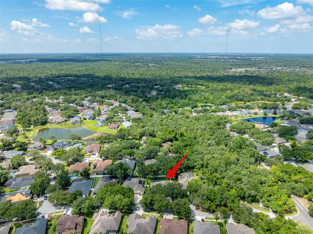 An aerial view shows a residential neighborhood with a red arrow pointing to a house — 15211 MERLINGLEN PLACE, LITHIA, FL