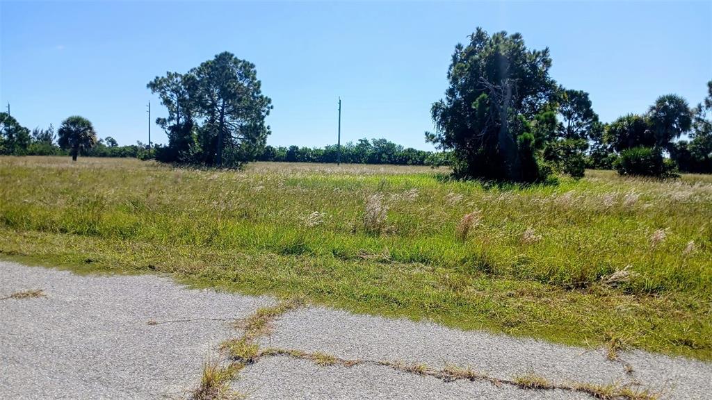 13732 WALLEYE WAY, PLACIDA, FL — photo 2 of 3