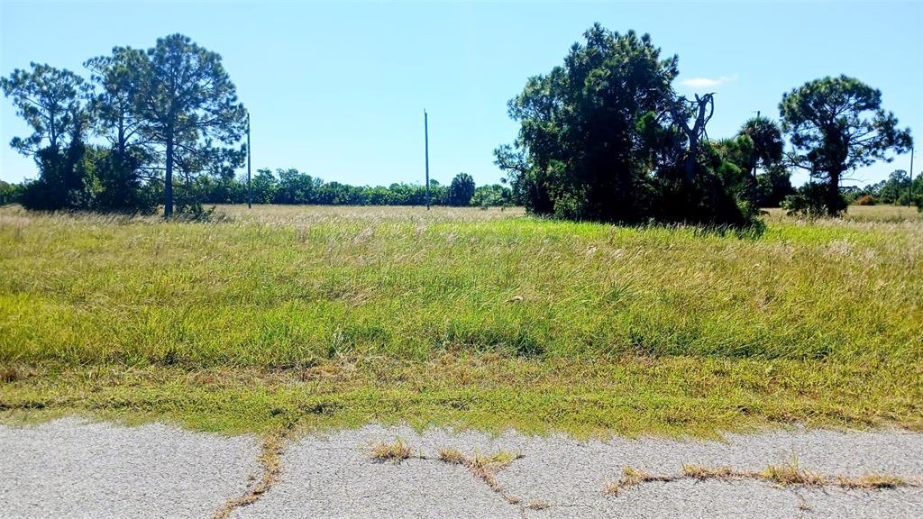 13732 WALLEYE WAY, PLACIDA, FL — photo 3 of 3