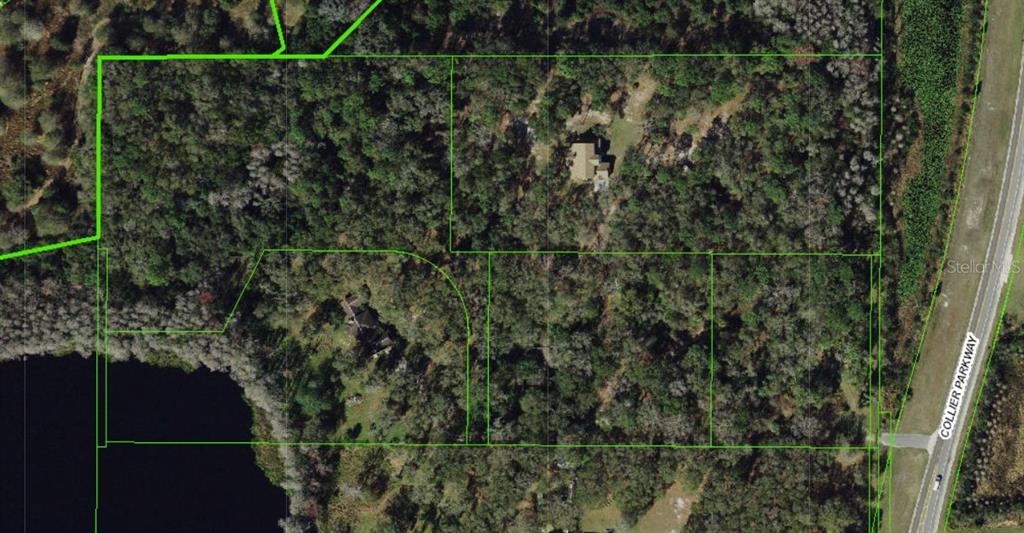 5135 COLLIER PARKWAY, LAND O LAKES, FL — photo 2 of 18