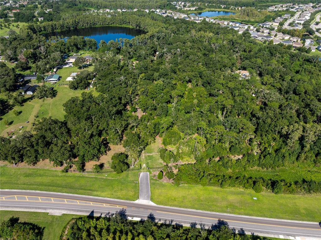 5135 COLLIER PARKWAY, LAND O LAKES, FL — photo 4 of 18